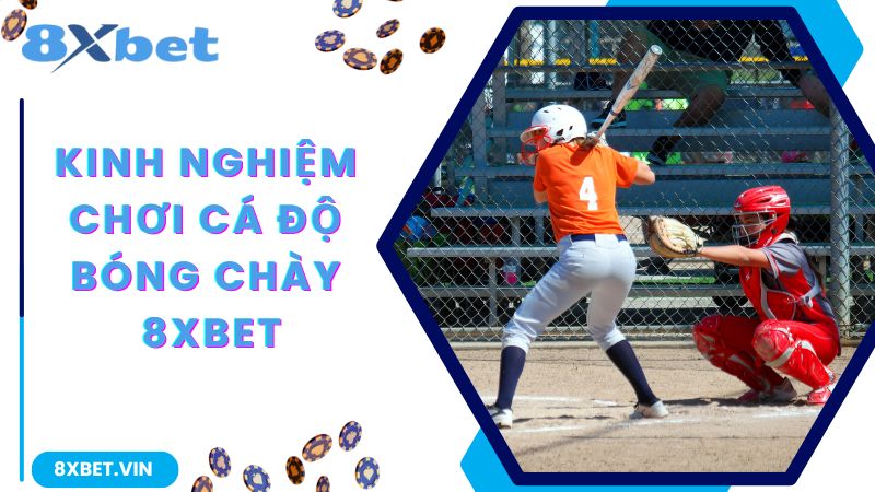 Kinh Nghiệm Chơi Cá Độ Bóng Chày Chắc Chắn Thắng Tại 8Xbet 3 Kinh nghiệm tham gia cá độ bóng chày giúp thắng chắc 100%